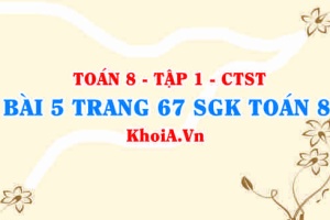Bài 5 trang 67 SGK Toán 8 Tập 1 Chân trời sáng tạo